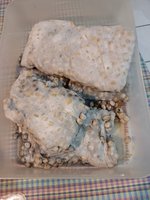 IMG_20230123_181818.jpg