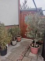 IMG_20230124_080626.webp