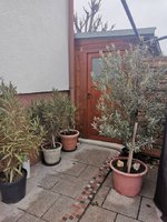 IMG_20230124_080626.jpg