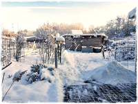 Schnee im Januar 1.webp