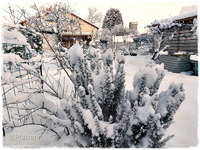 Schnee im Januar 5.webp