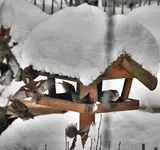 Kernbeisser 1.webp