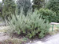P1000108.JPG