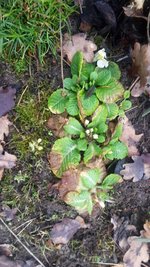 20230125_120718.jpg