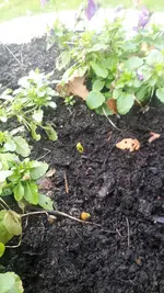 20230125_120352.webp