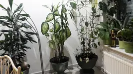 20230121_213645.webp