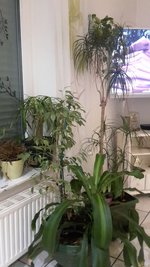20230121_213709.jpg