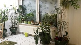 20230121_213804.jpg