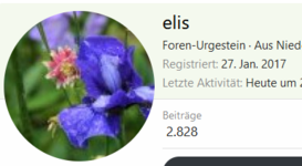 270117.PNG
