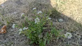IMG_20220717_110331.webp