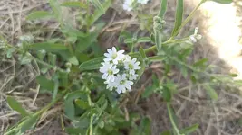 IMG_20220717_110349.webp