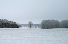 1674841593063 (2).jpg