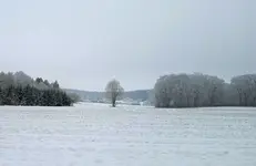 1674841593063 (2).webp