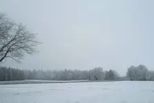 1674841593073 (2).webp