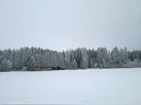 1674841593080 (2).webp