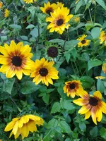 IMG_20220927_180550.webp