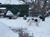 IMG_20230128_164249.jpg