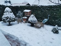 IMG_20230128_164257.jpg