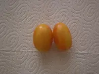 CIMG9468.webp