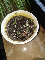 20230129_100428.webp