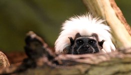 zoo6.jpg