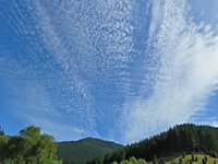 IMG_5502 - Copy.JPG