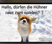 Fuchs.webp