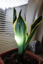DSC04906.JPG
