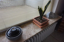 DSC04905.JPG