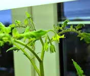 20230131_155039.webp