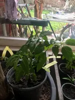 C5CEE697-ED3D-420D-820A-01D2C628BA47.jpeg