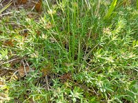 IMG_20220608_091941.jpg