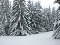 Garten Febr.2010 001.webp