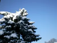 SANY0142-1680.webp