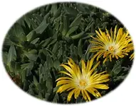 Rätselbild8_1 .webp