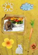 Teddy.webp
