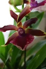 DSC_0005.webp