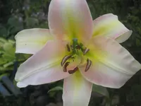 002.webp