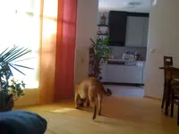 14.02.10 002.webp