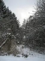 Februar 2010 007.webp