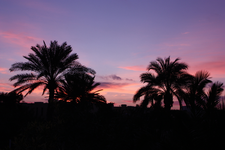 IMG_5165.webp