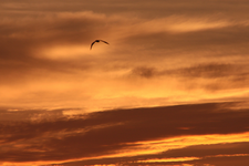 IMG_5174.webp