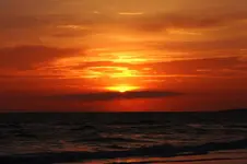 IMG_5186.webp