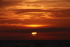 IMG_5181.webp