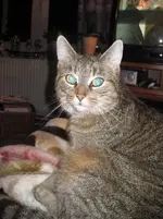 Was ist denn so interessant Cleo.webp