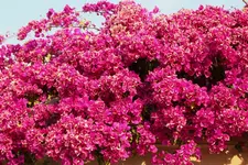 IMG_5195.webp