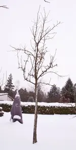 war_fruchtlos (3).webp