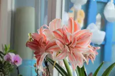 IMG_6267.webp