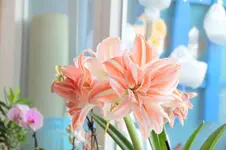 IMG_6269.webp