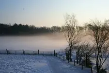 Frühnebel3_klein.webp